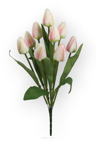 Bukiet tulipanówx9 FCX039 h40cm