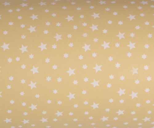 Folia do kwiatów i prezentów satynowa STARS 9 sz50cm 20080