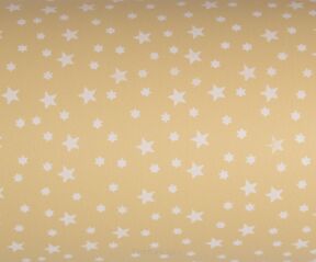 Folia do kwiatów i prezentów satynowa STARS 9 sz50cm 20080