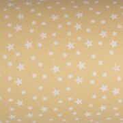 Folia do kwiatów i prezentów satynowa STARS 9 sz50cm 20080