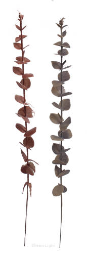 Eukaliptus PS0179174PT 52cm
