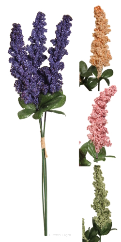 Amaranthus x3 81CAN10-8 35cm