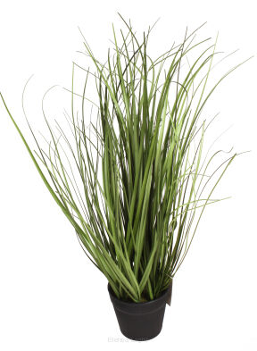 Trawa ozdobna w doniczce CV15461 35cm