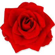 Róża SCARLET WELUR RED 8cm FME074368