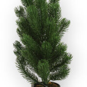 Choinka w doniczce XY23-561 (27529) h40cm