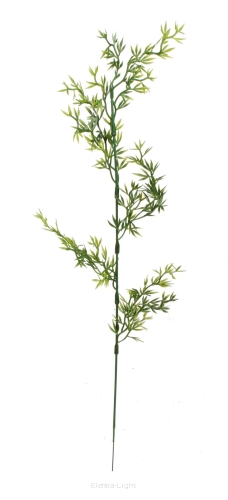 Asparagus dodatek Z302 59cm