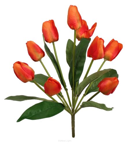 Bukiet tulipanów KDGT103 43cm