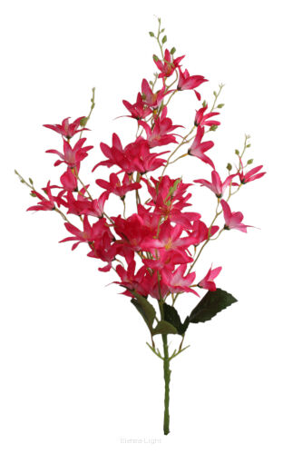 Krokosmia ogrodowa bukiet FHY002 60cm
