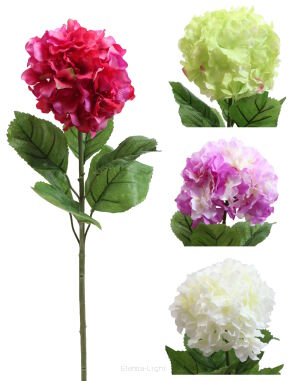 Hortensja 86CAN1828 h70cm