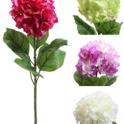 Hortensja 86CAN1828 h70cm