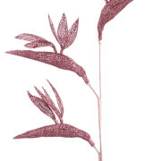 Strelicja w brokacie GB7J0039 66cm