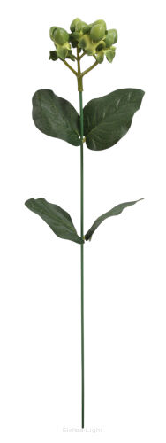 Dodatek dziurawiec hiperikum YY/P-020 h35cm