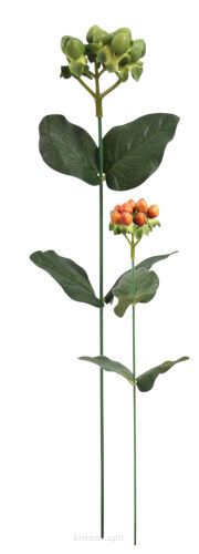 Dodatek dziurawiec hiperikum YY/P-020 h35cm