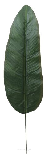 Liść bananowca duży KDGL108 65cm