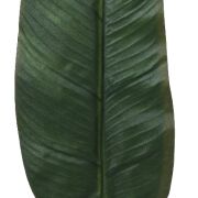 Liść bananowca duży KDGL108 65cm