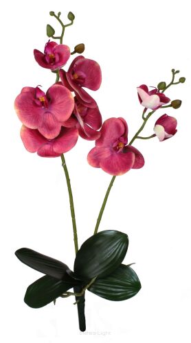 Storczyk gumowy z liściem CV15164 55cm ostatnia sztuka