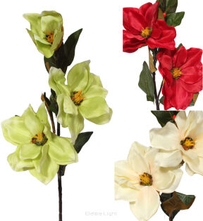 Magnolia 90cm KDG2405-B