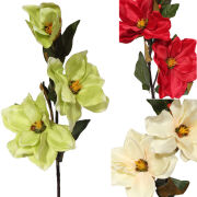 Magnolia 90cm KDG2405-B