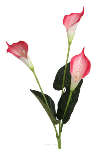 Kalia piankowa x3 NY003 h70cm