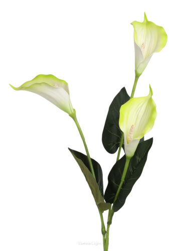 Kalia piankowa x3 NY003 h70cm