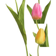 Tulipan pojedynczy NY006 50cm