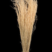 Star grass bielona 100g 26745