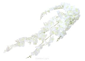 Płacząca orchidea 92CAN15007 130cm