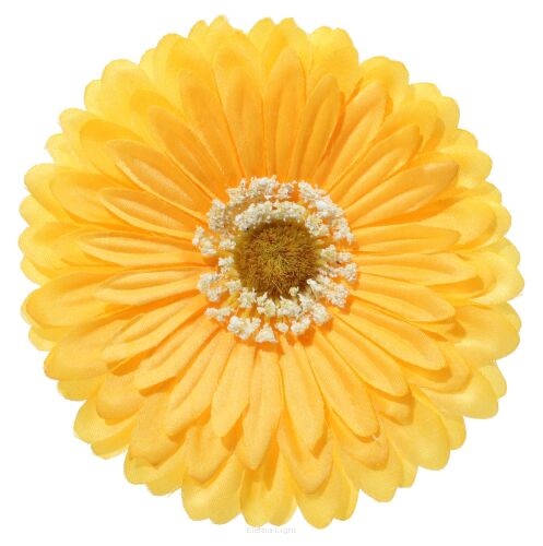 Gerbera wyrobowa 11cm FME070585 / AFG054