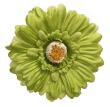 zielony