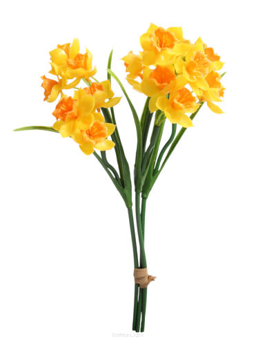Żonkil gumowy wiązka'3 35cm SHTA003-55