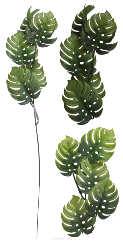 Dodatek monstera Z491