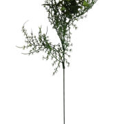 Bukszpan gałązka 45cm A698