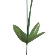 Irys na łodydze K003 48cm