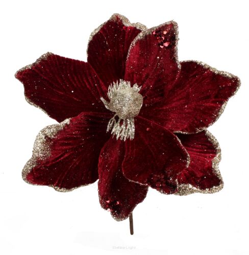 Magnolia na piku CV19689 30cm