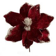 Magnolia na piku CV19689 30cm