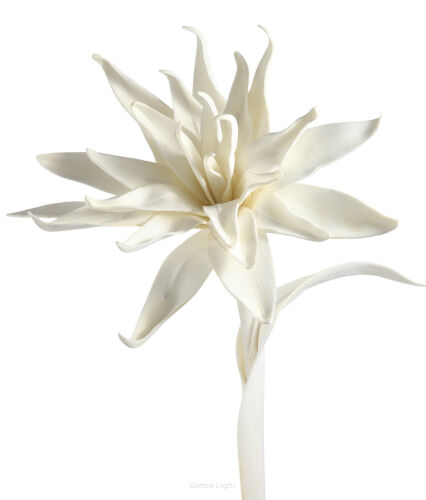 Magnolia piankowa na łodydze LG3066