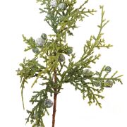 Pik jałowiec x4 14512 25cm
