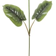 Łodyga do kalii/anturium 50cm F008