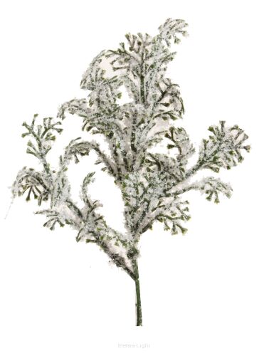 Pik cyprysika cukrowany 20cm 16004