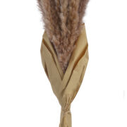 Trawa pampasowa susz 92CANNB71807-N10 75cm 20szt/opk