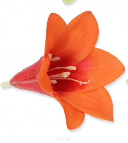Lilia mini tutka FME072791 8x9cm