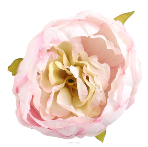 Peonia wyrobowa  12cm EVE9345/48/50/52/54