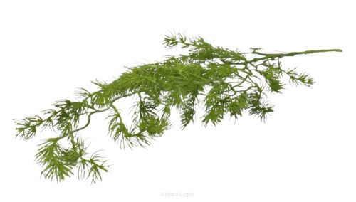 Roślina wisząca zwis 90cm 16CAN13145_02