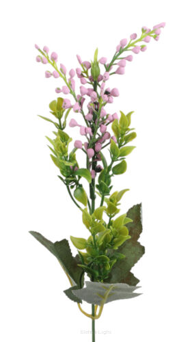 Dodatek Boronia A525 h45cm