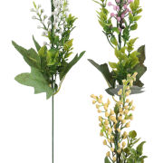 Dodatek Boronia A525 h45cm
