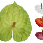 Anturium wyrobowe satynowe FME071675 15cm