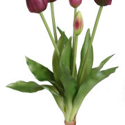 Tulipan gumowy wiązka x5 CV13555 40cm