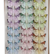 Motyl dekoracyjny na klipie 5cm (19079) A23911
