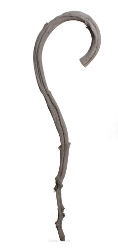 Laska bananowca Banana Stick 70cm