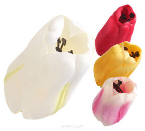 Tulipan wyrobowy 10cm 903H